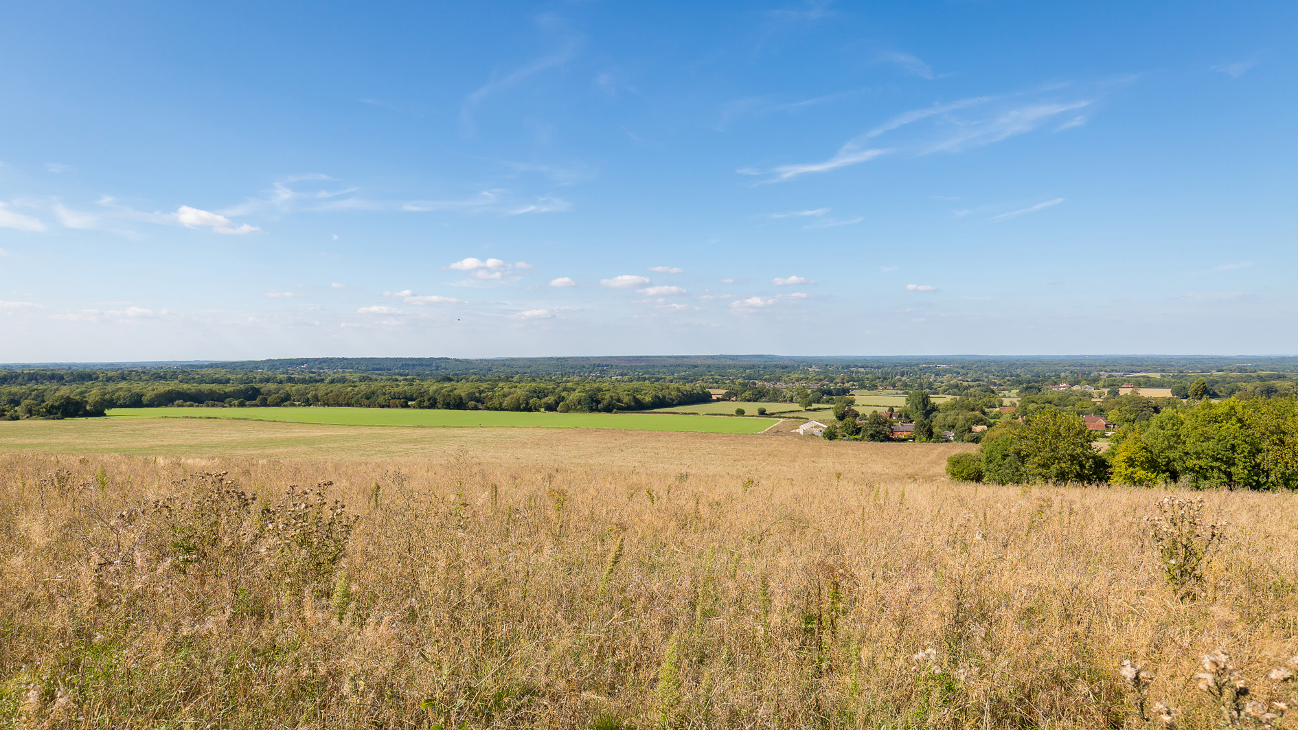Land for sale on the Hog's Back, Surrey