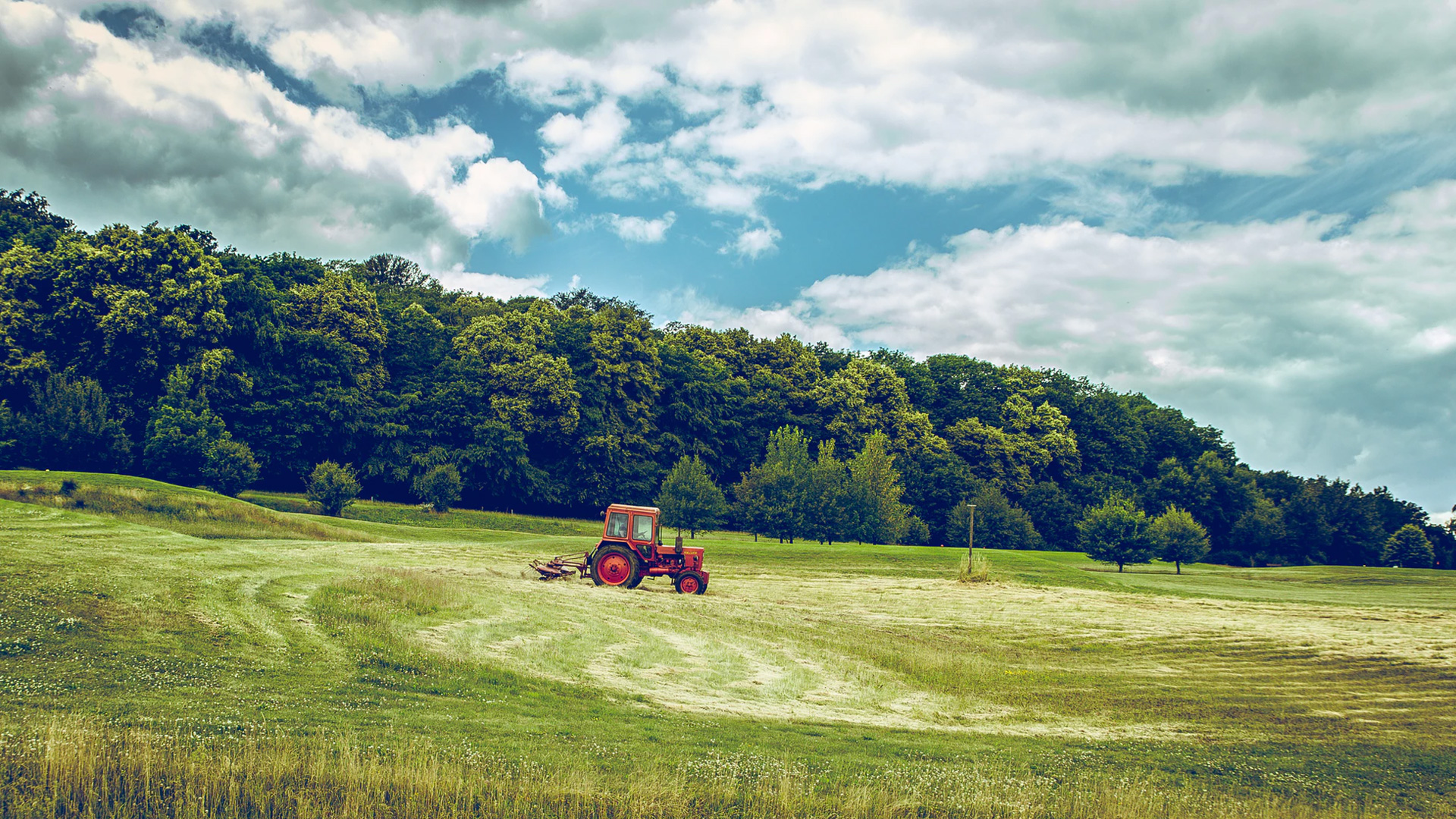 Agricultural land use