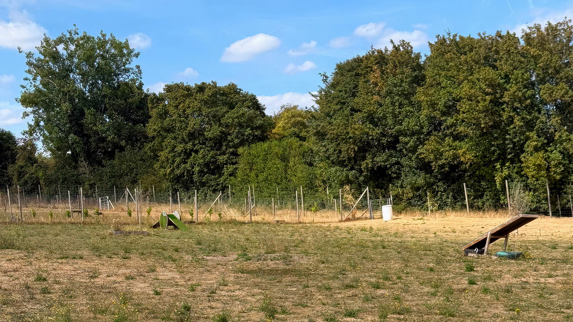 Dog walking field for sale in Aston End, Stevenage