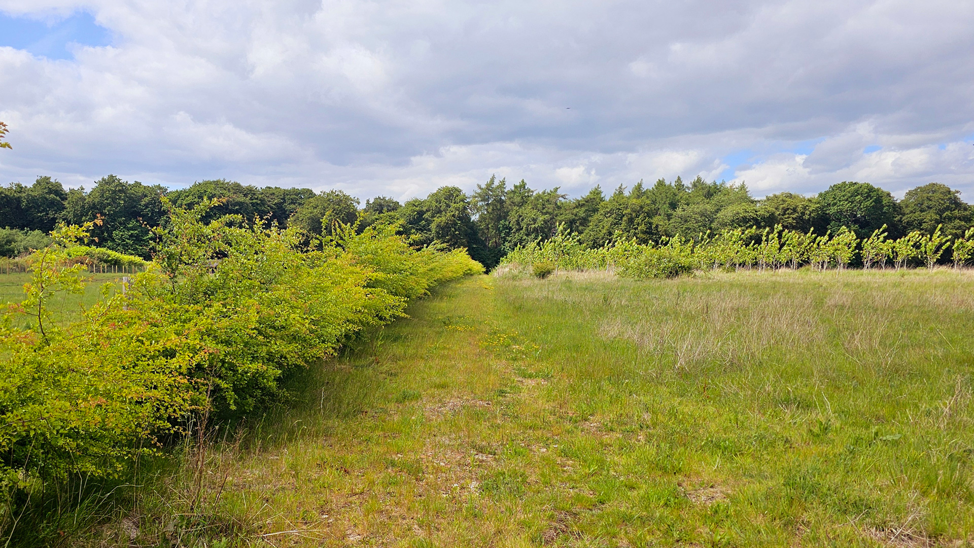 Enclosed land for sale in Stokenchurch