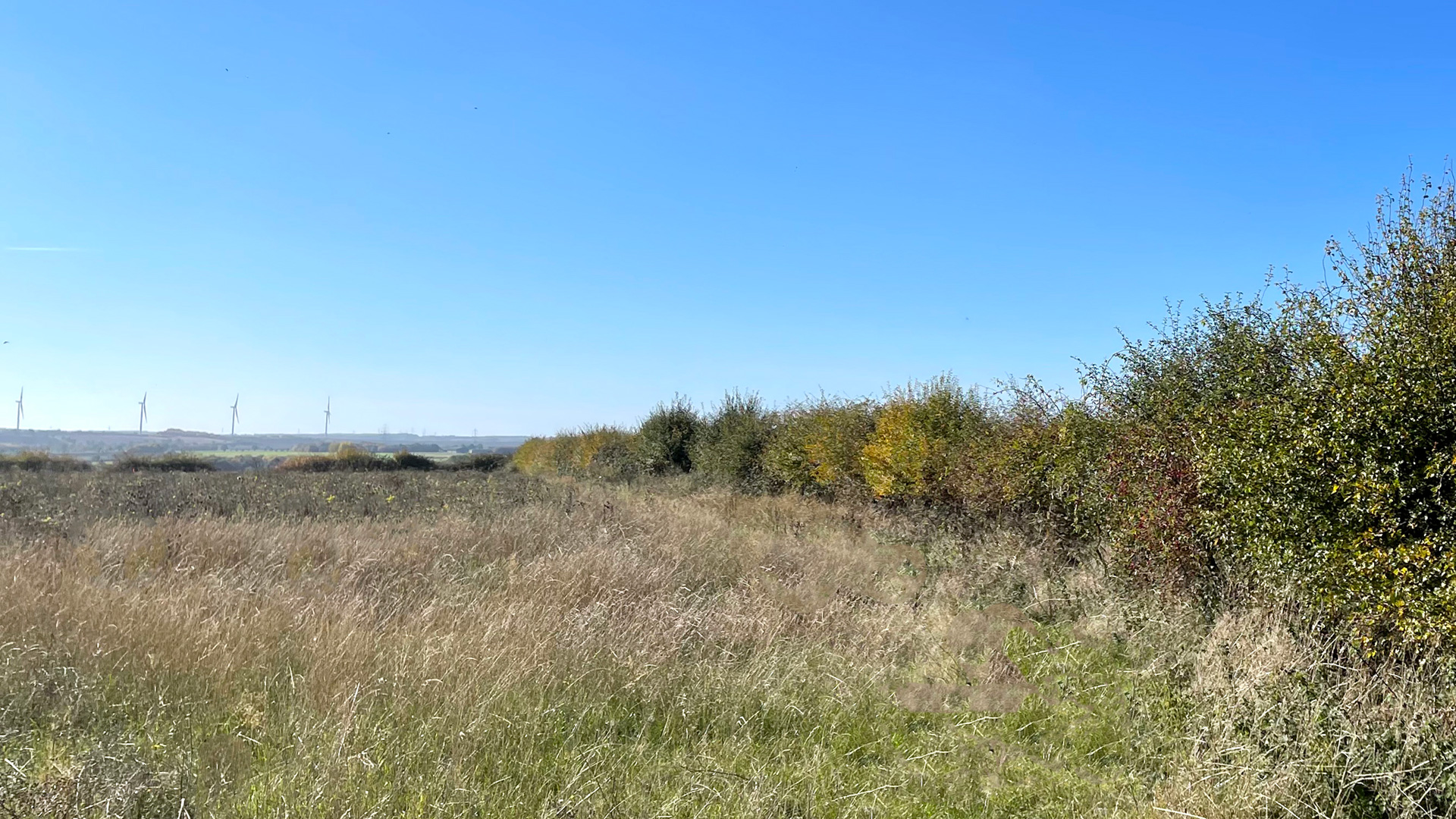 Grazing land for sale in Alconbury Weston