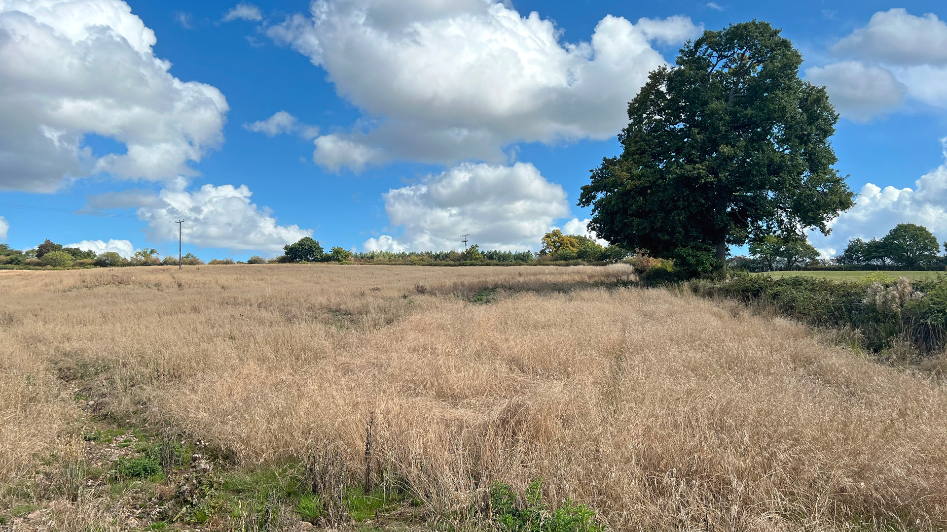 Grazing land for sale in Alvechurch