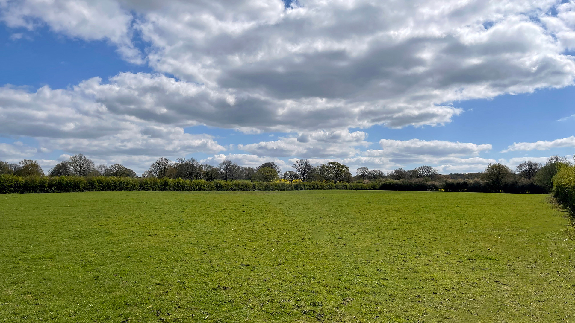 Grazing land for sale in Edenbridge