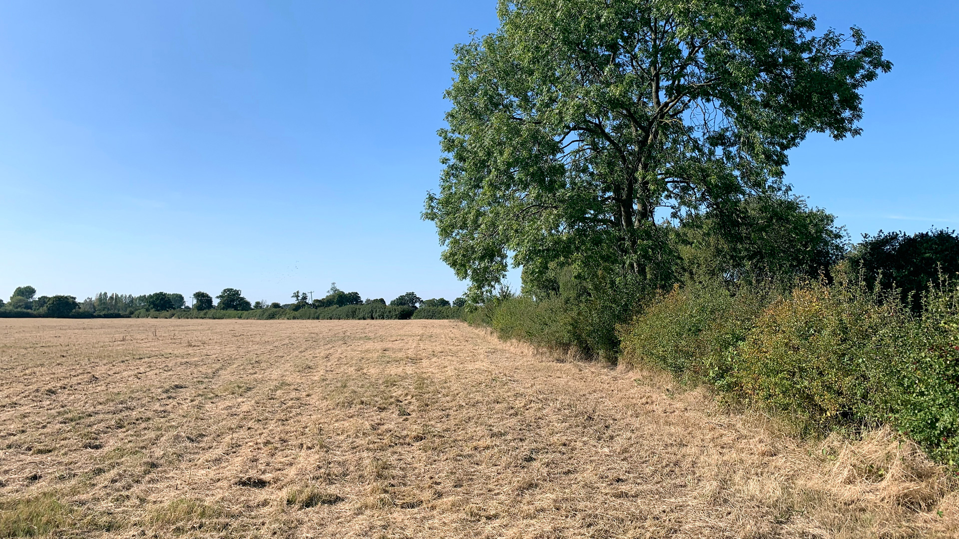 Grazing land for sale on the Grand Union Canal