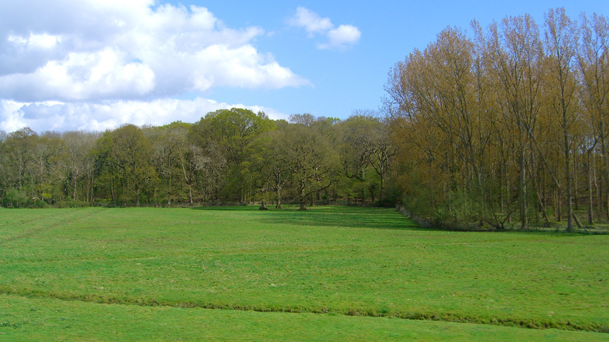 Grazing land for sale in Havant