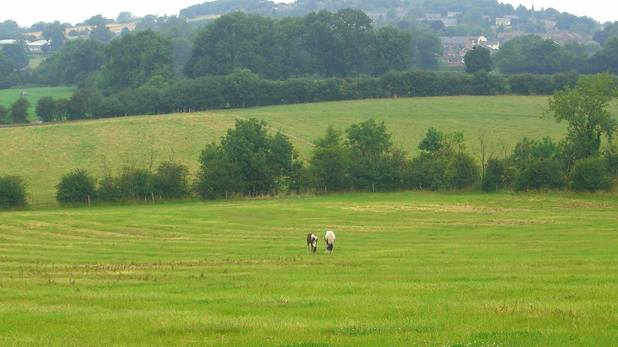 Grazing land for sale in Markfield