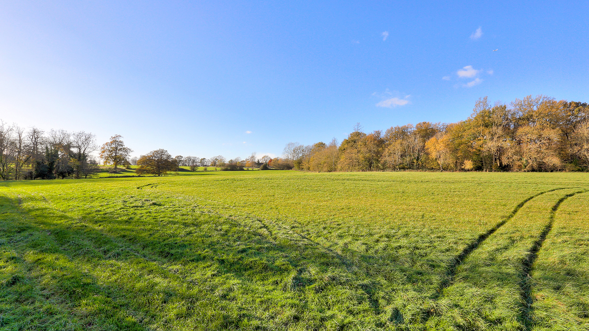 Grazing land for sale in Sevenoaks