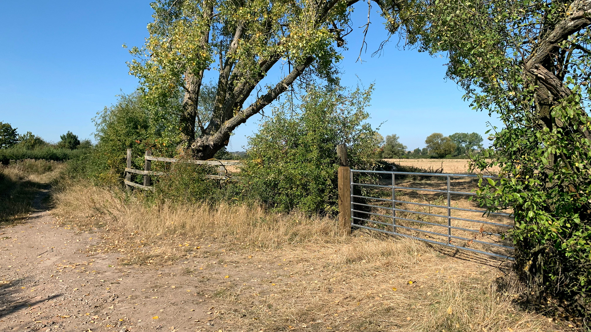 Land for sale at Draytonmead Farm access to Lots 1 & 2