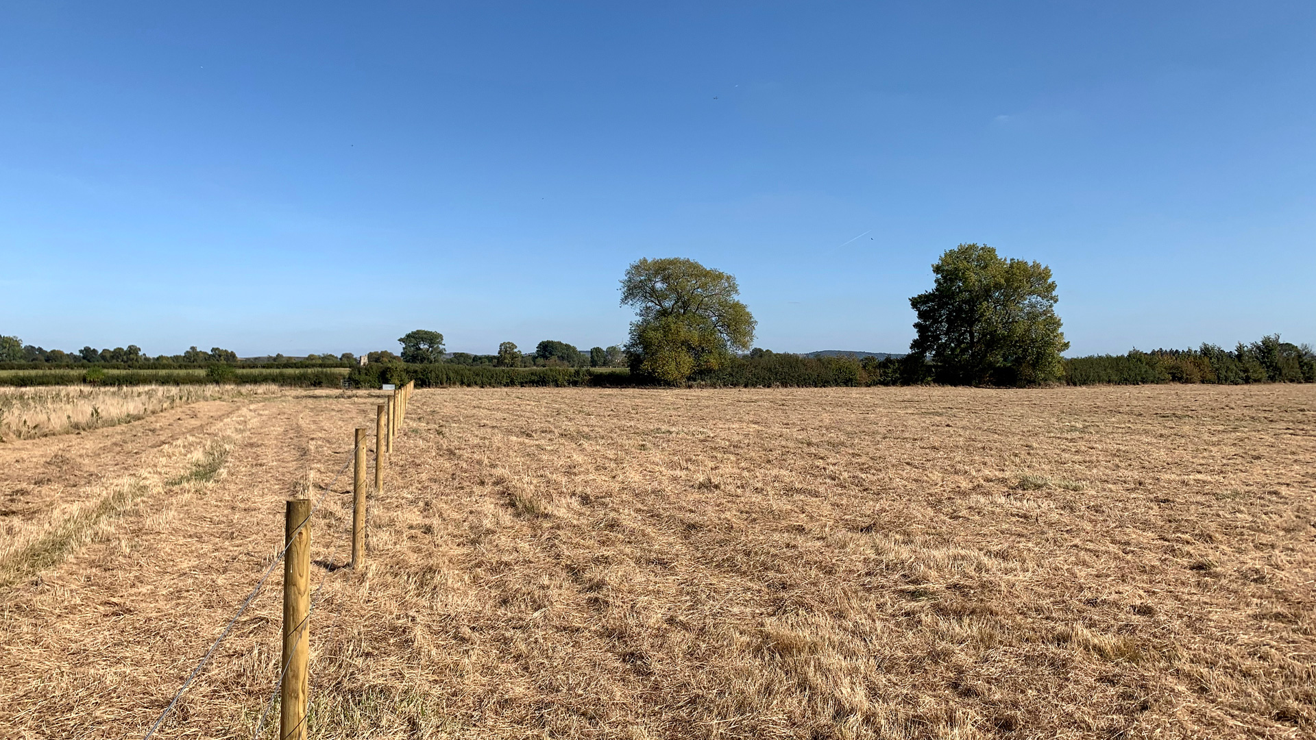 Fencing at Draytonmead Farm