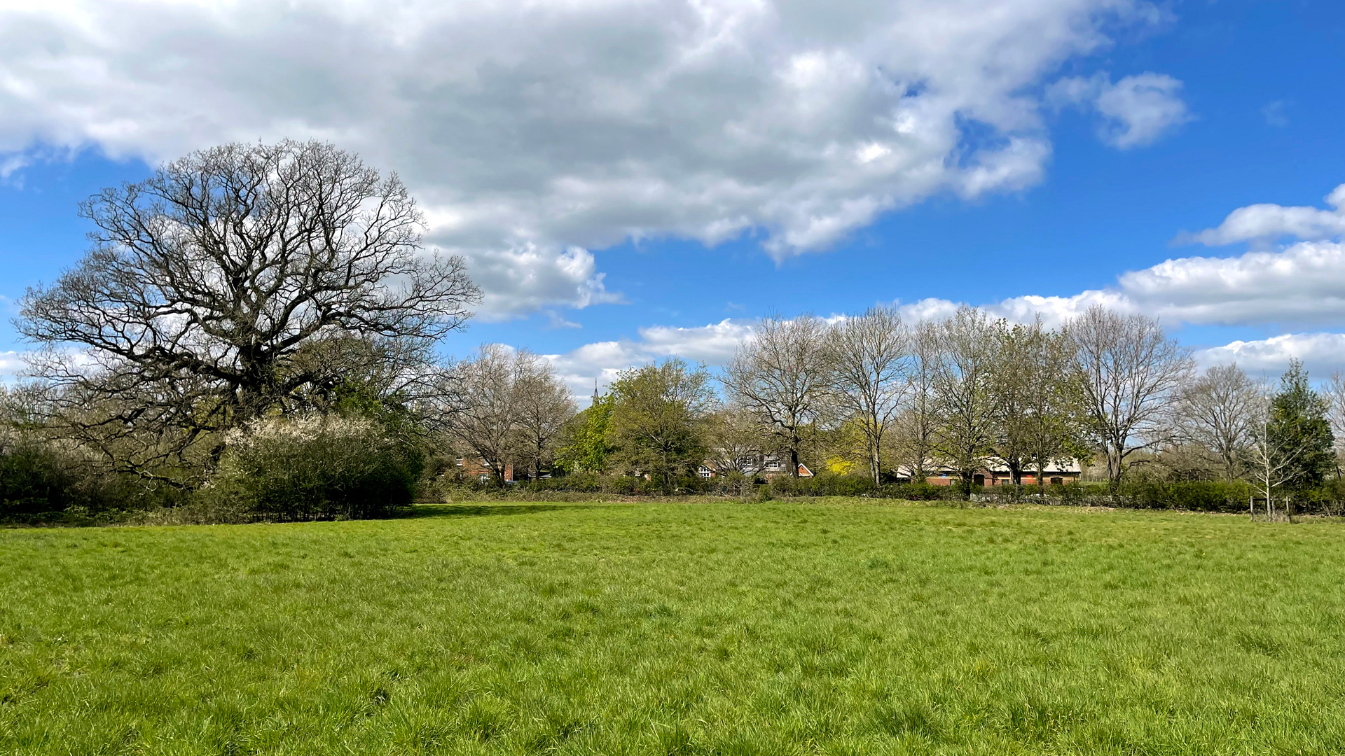 Land for sale in Edenbridge