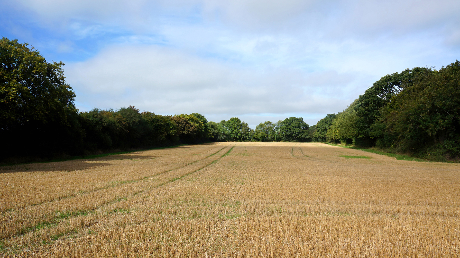 Land for sale in Gaddesden Row