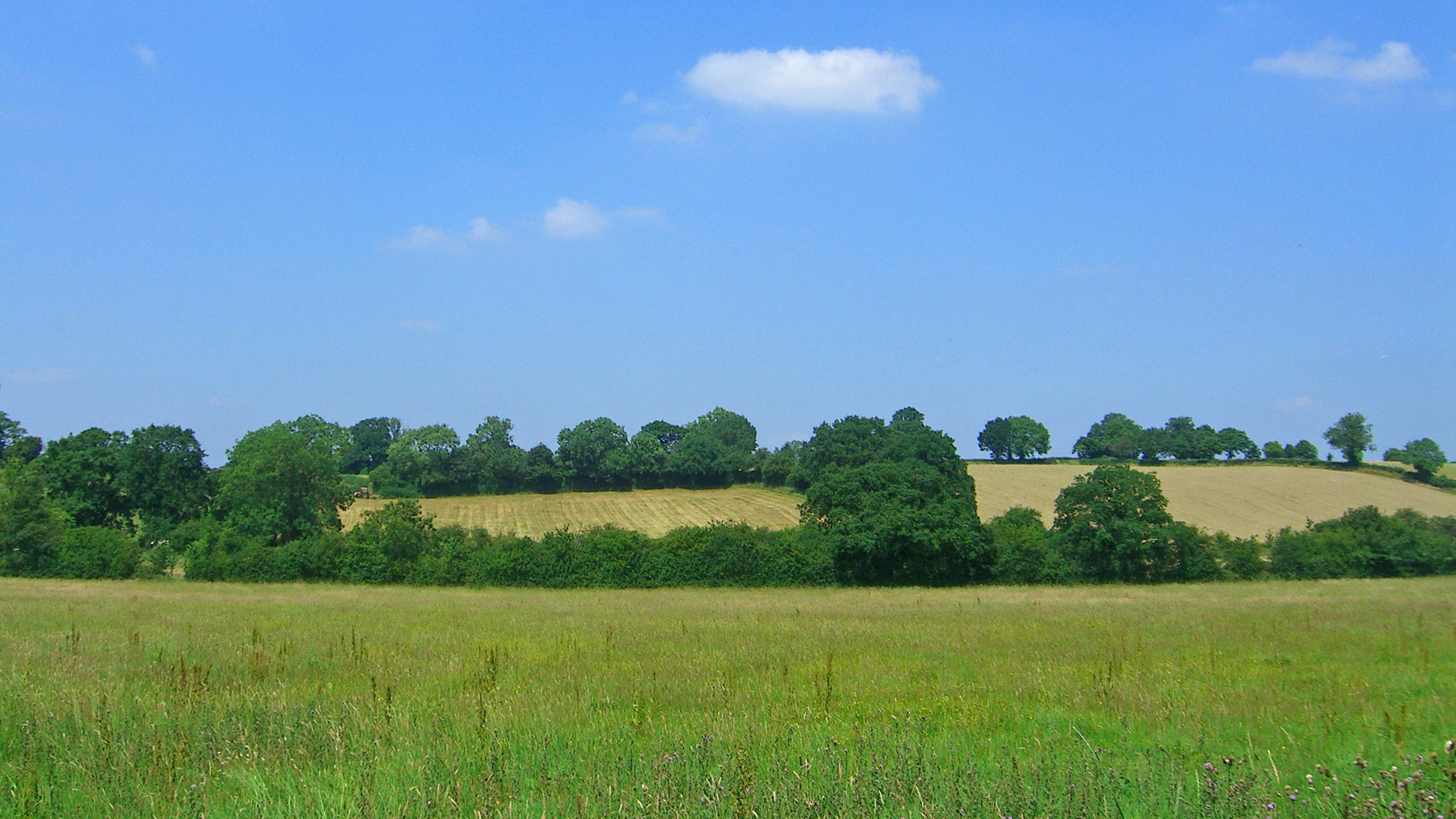 Land for sale in Shrewley
