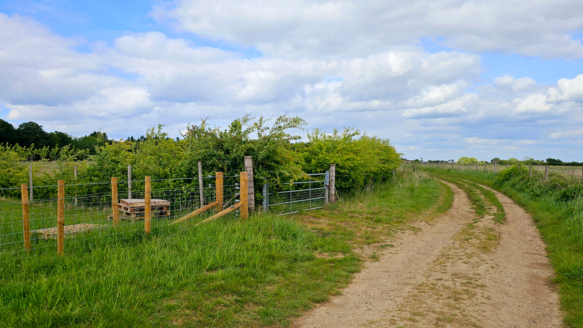 Gated entrance to the land for sale in Stokenchurch