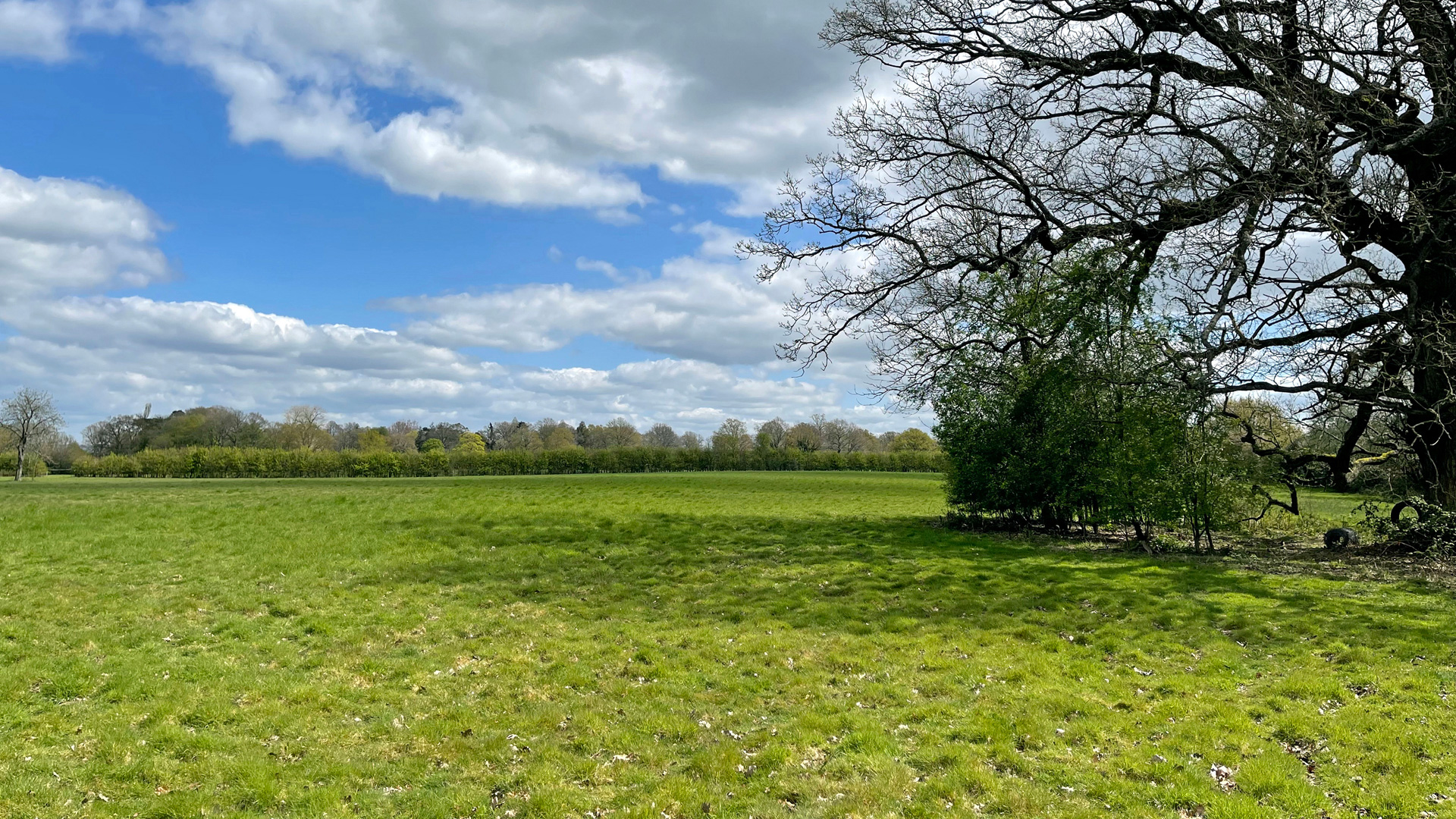 Paddock land for sale in Edenbridge