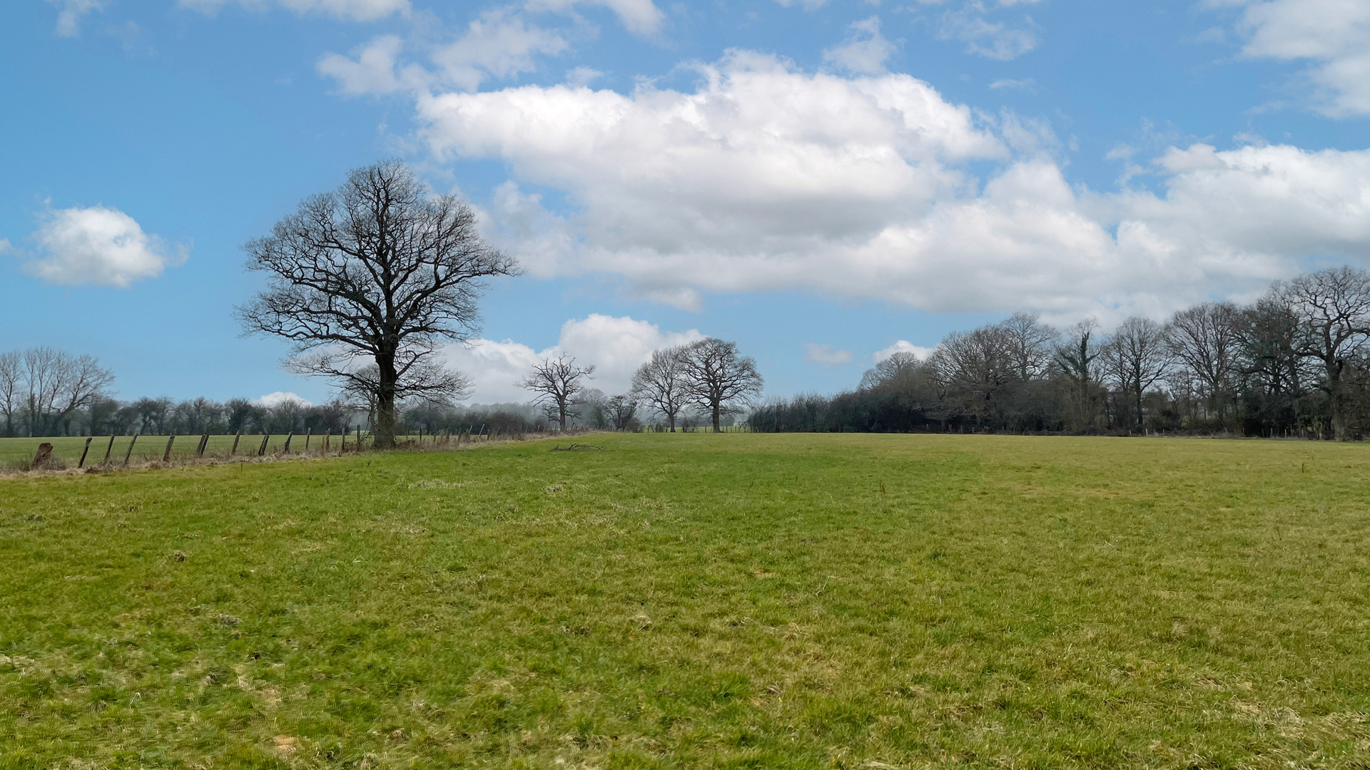 Paddock land for sale in Newchapel, Lingfield