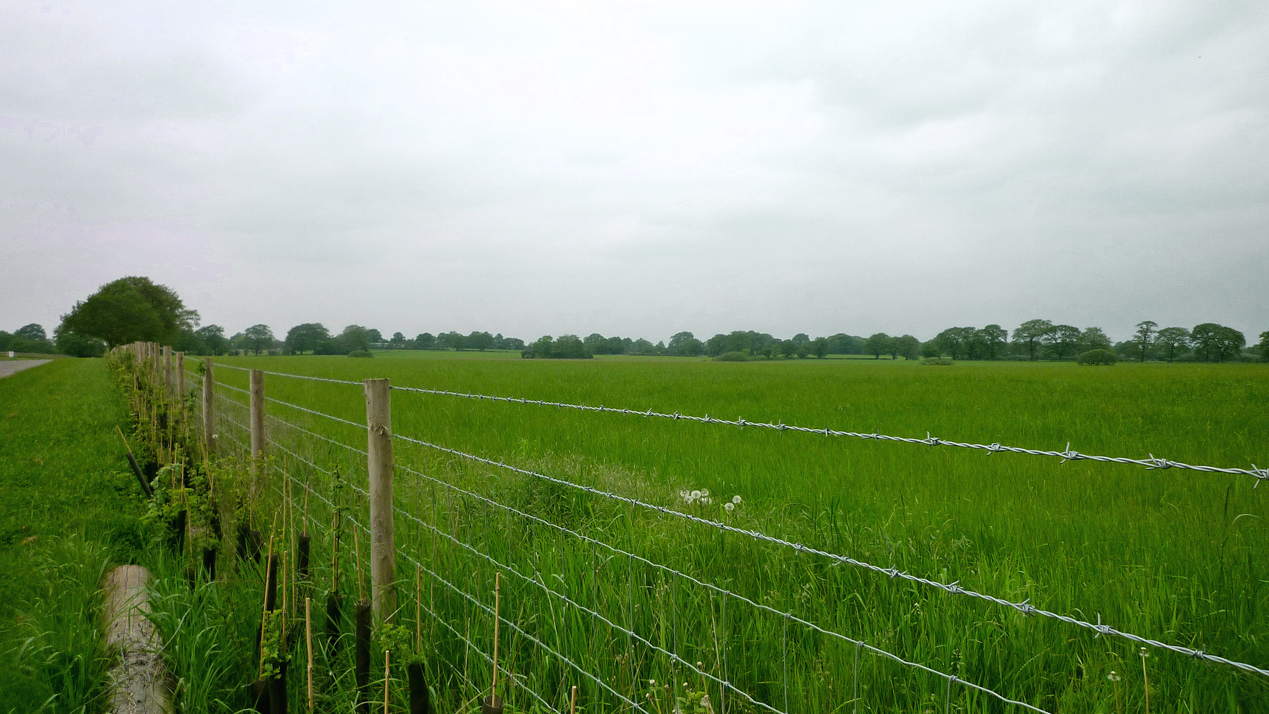 Paddock land for sale in Solihull, Birmingham