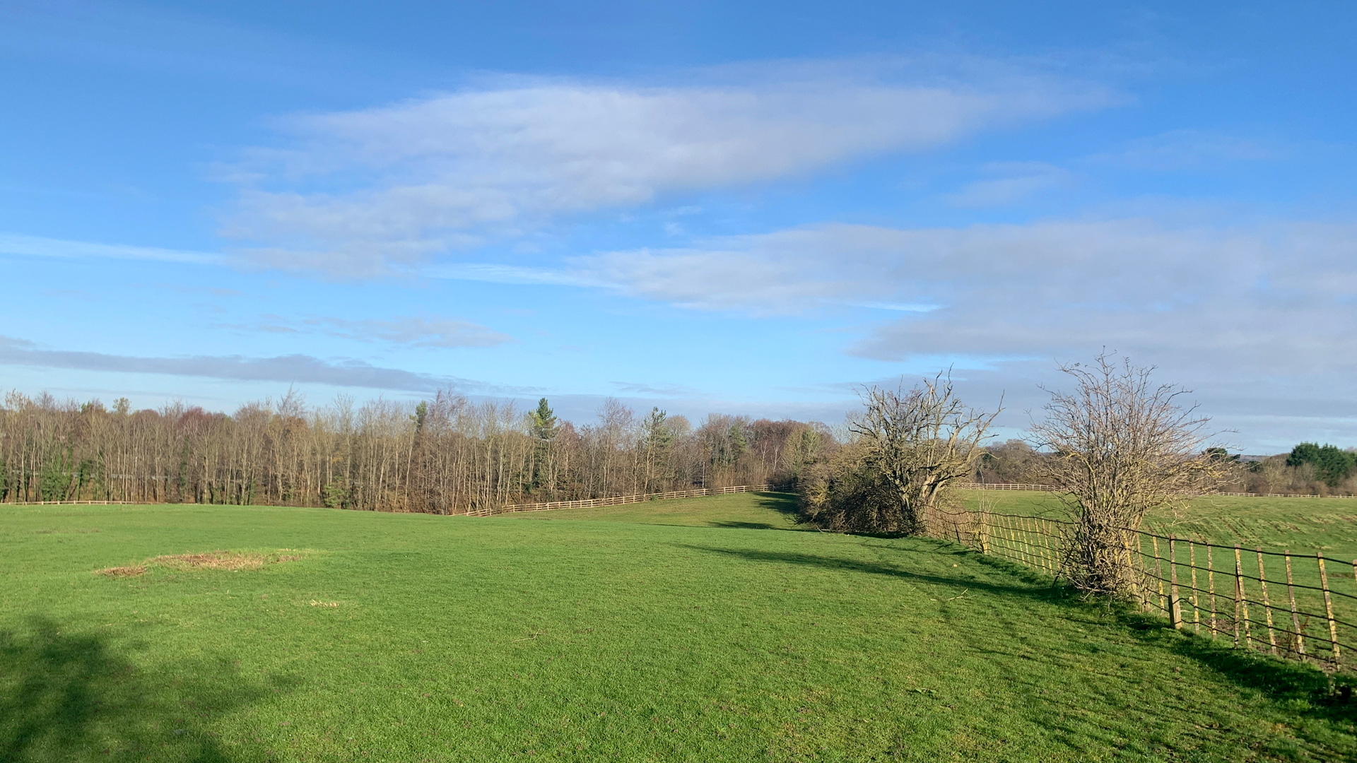 Paddock land for sale in West Leith, Tring