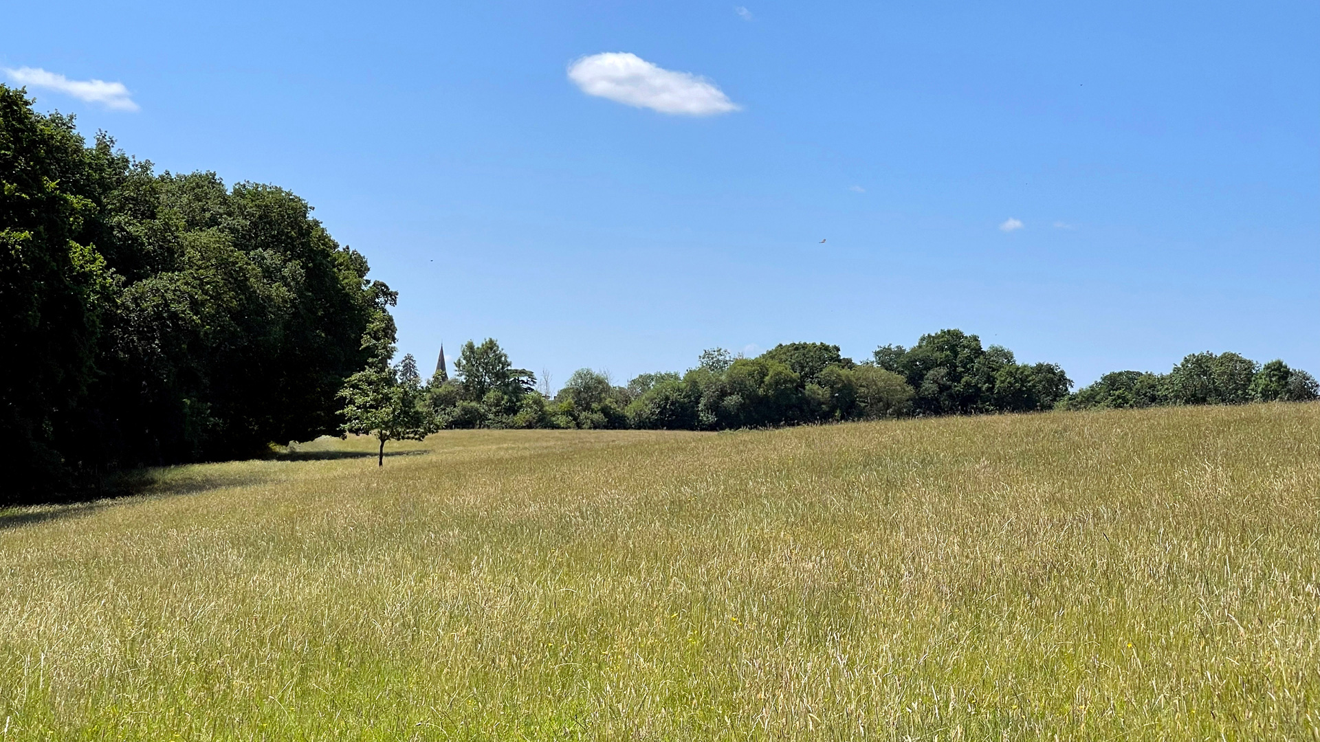 Land for sale in Sulhamstead, Reading