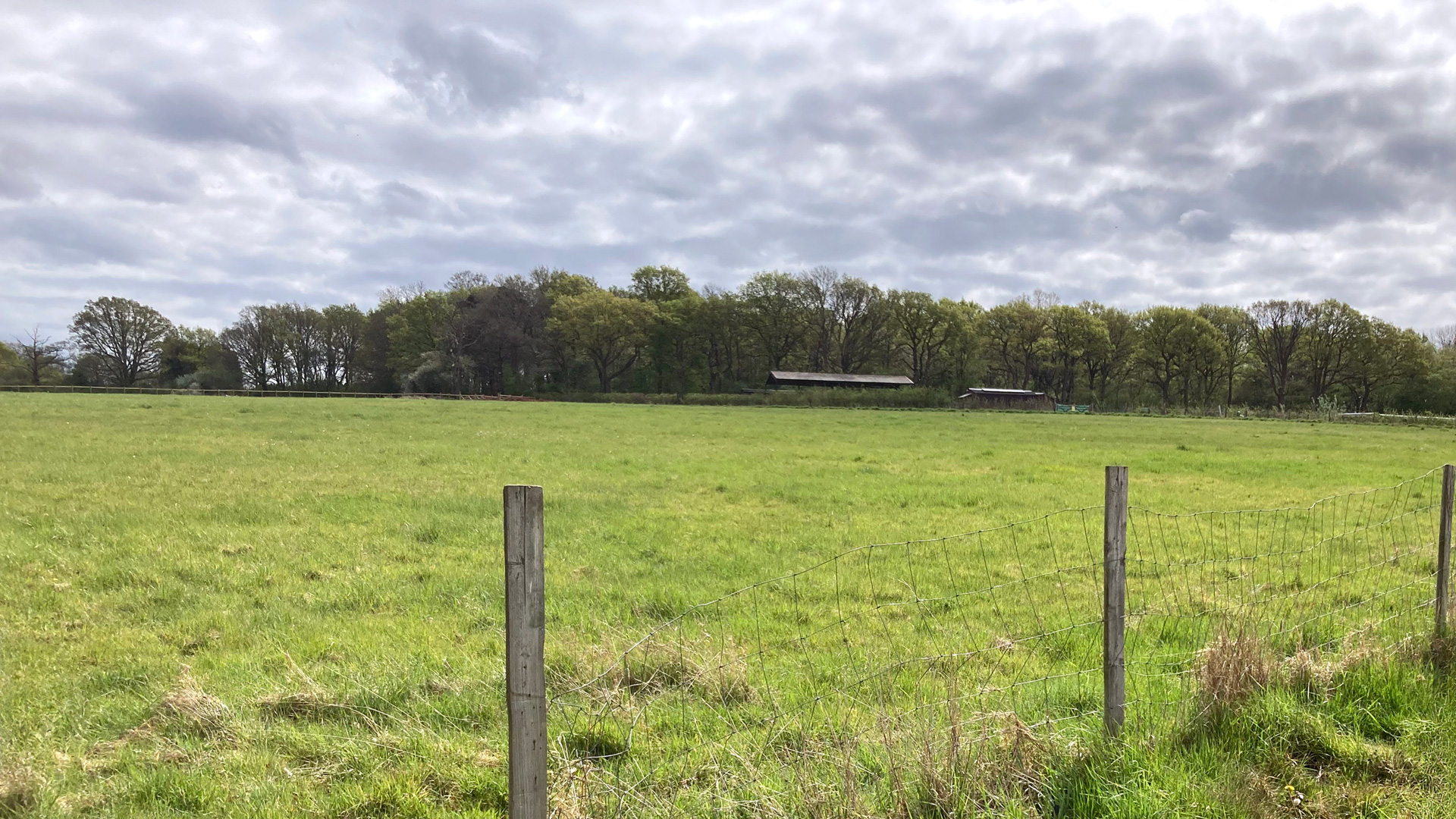 Pasture land for sale in Charlwood