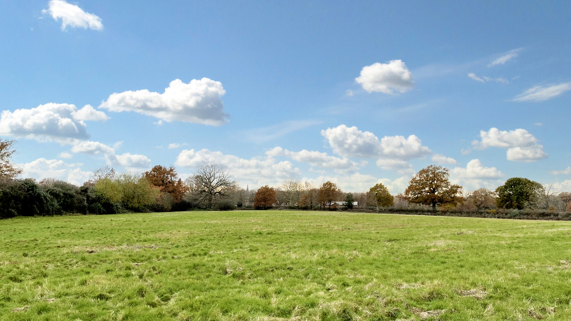 Pasture for sale in Edenbridge