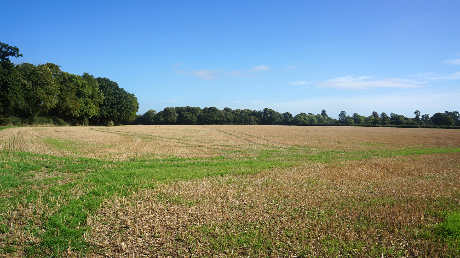 Pasture land for sale in Gaddesden Row