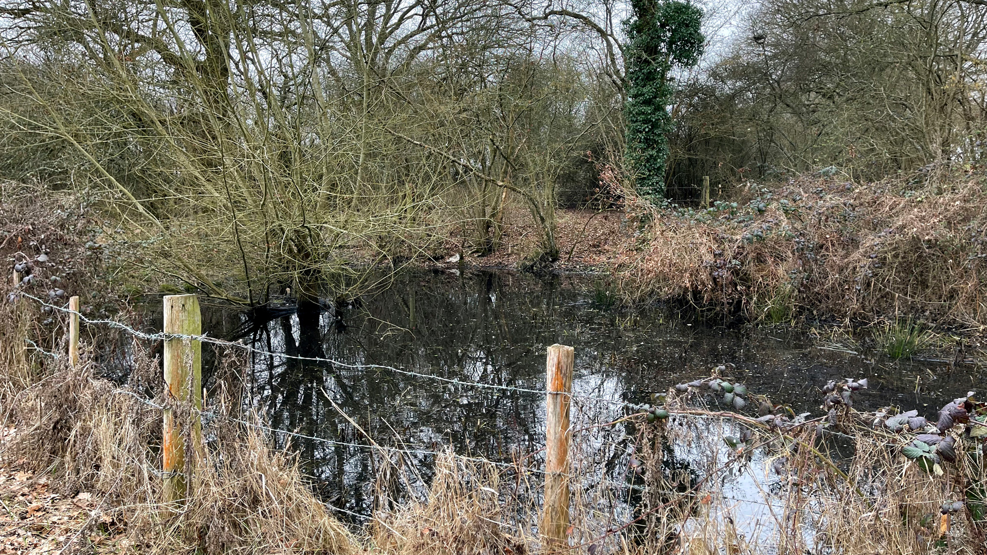 Pond for sale in Newchapel, Lingfield