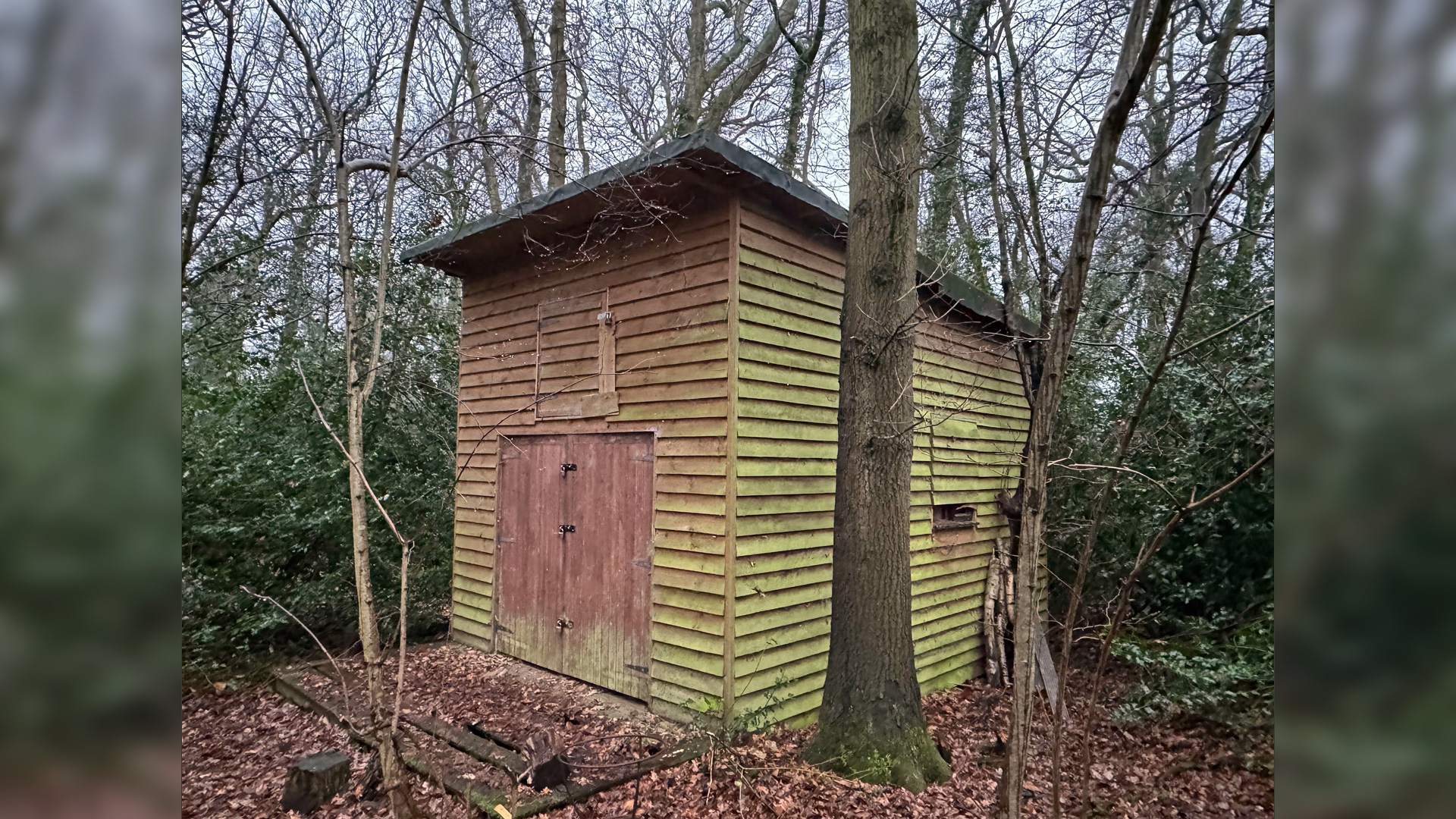 Wood store for sale in Flaunden