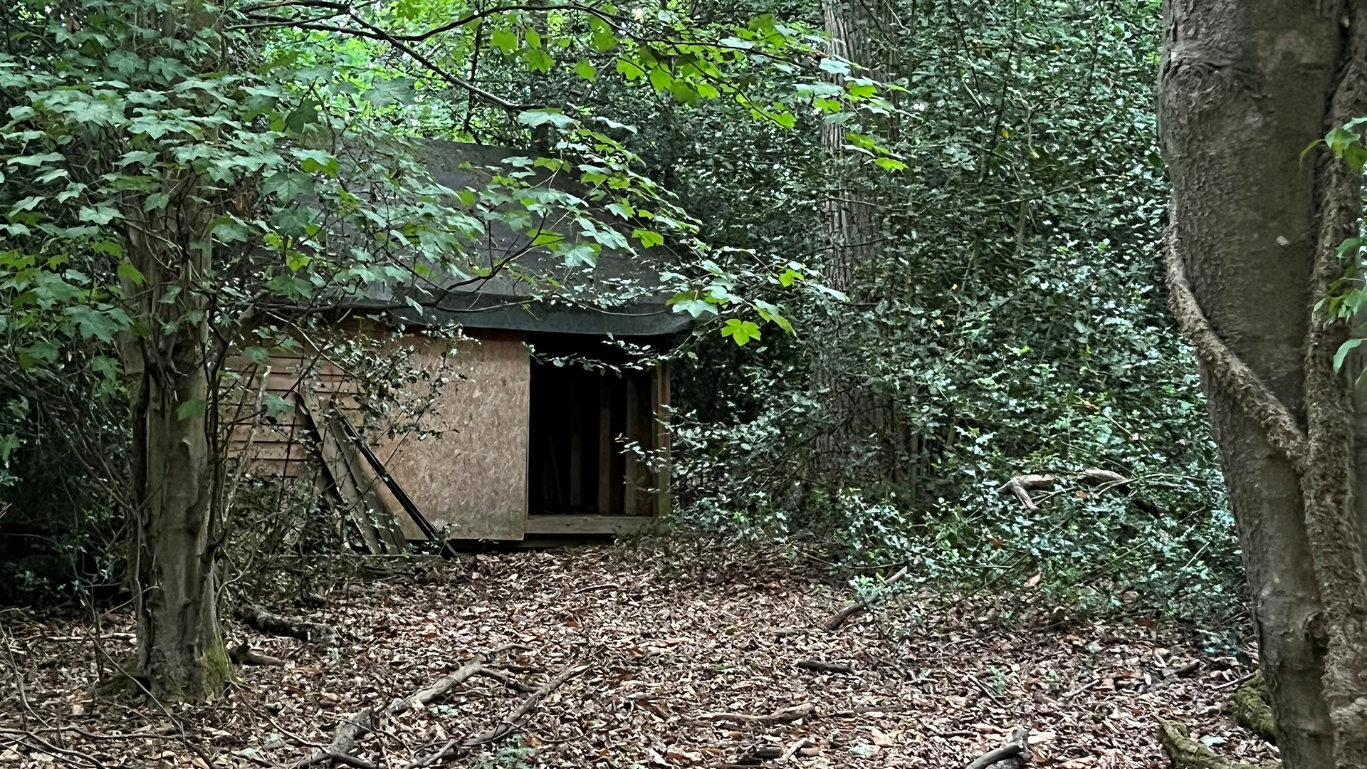 Woodland den for sale in Flaunden