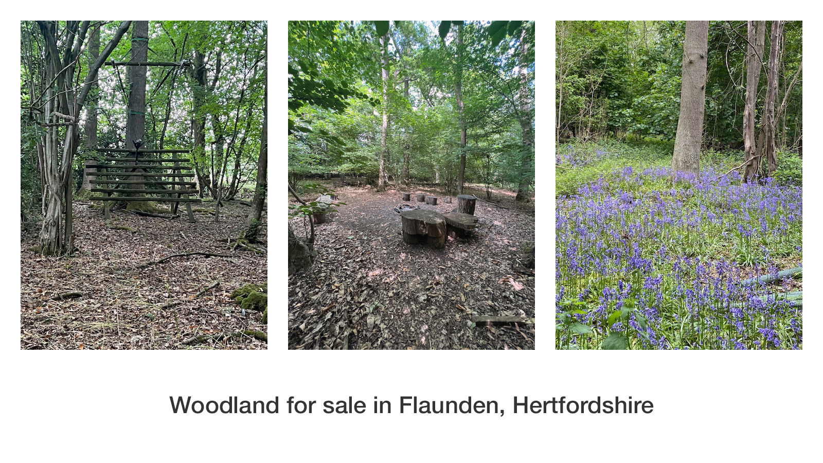 Woodland for sale in Flaunden