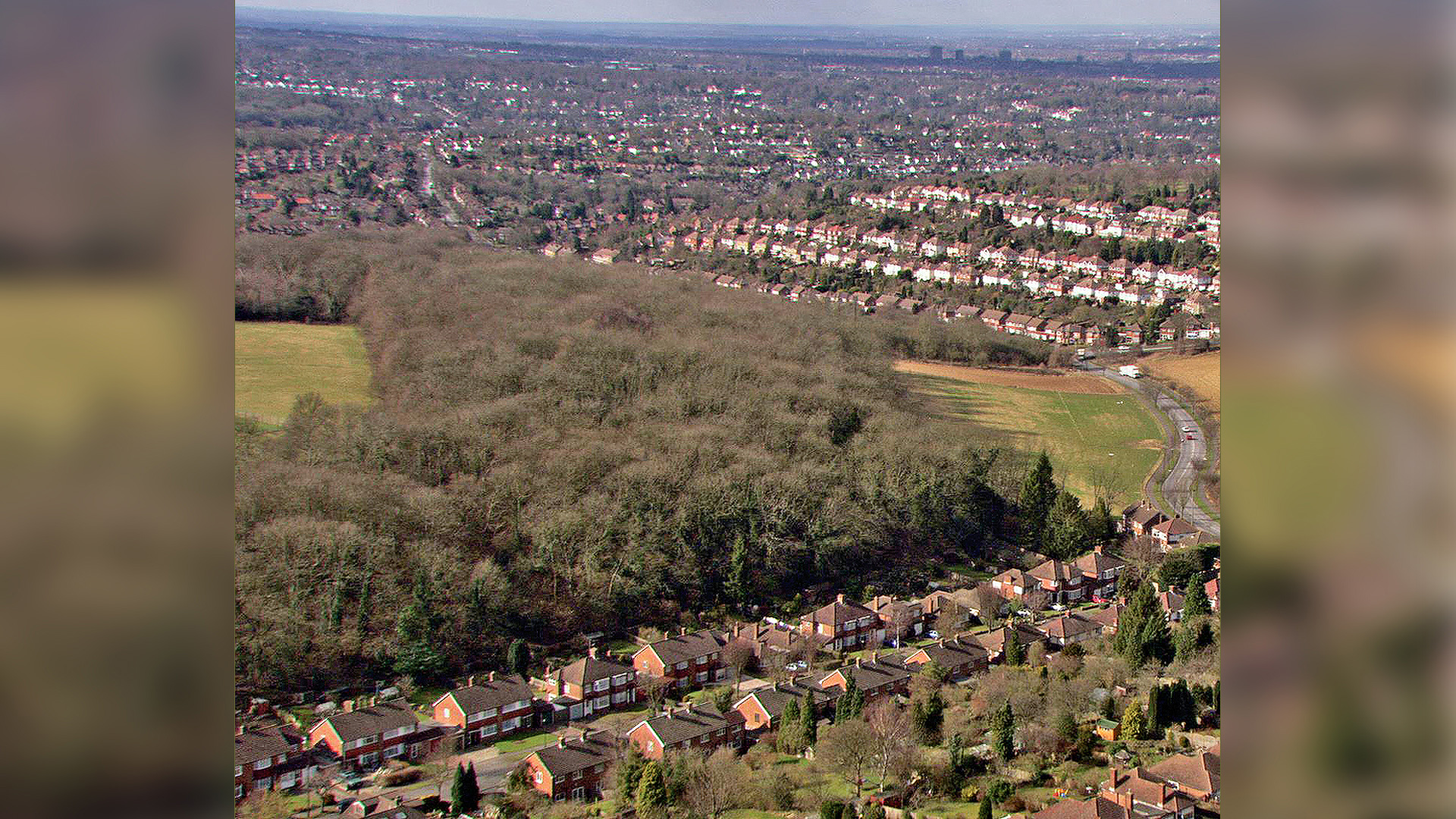 Woodland for sale in London